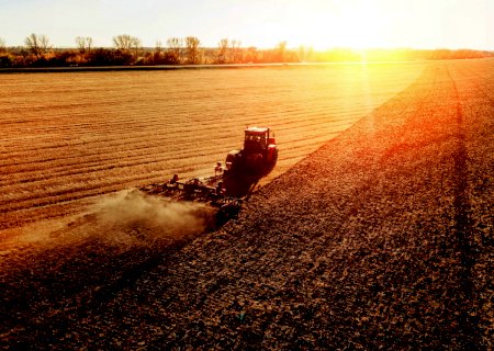 Mato Grosso do Sul registra recorde no agronegócio em 2020