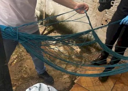 Criança de 10 anos morre ao ficar com pescoço preso em rede dentro de casa