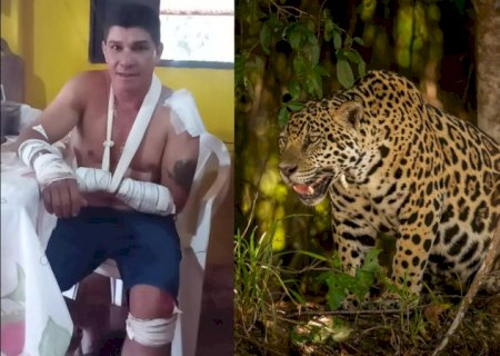 Homem que disse ter sido atacado por onça na realidade atropelou animal, diz PRF