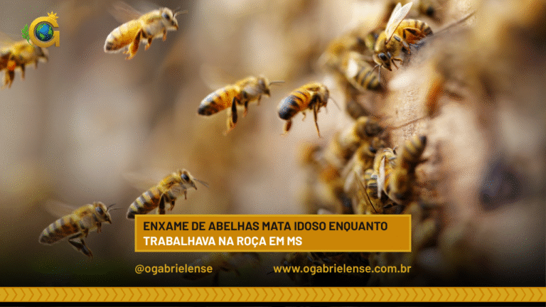 Enxame de abelhas mata idoso enquanto trabalhava na roça em MS