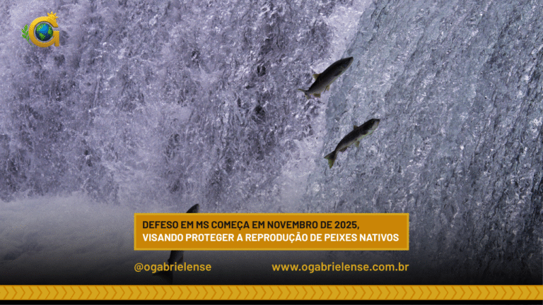 Defeso em MS começa em novembro de 2025