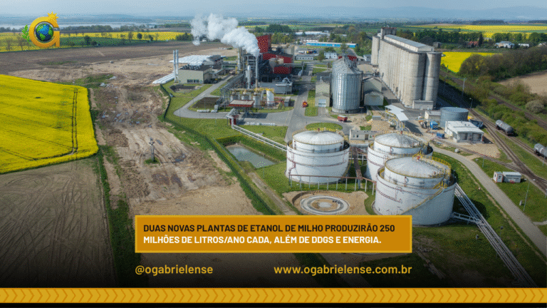 Duas novas plantas de etanol de milho produzirão 250 milhões de litros/ano cada, além de DDGS e energia.