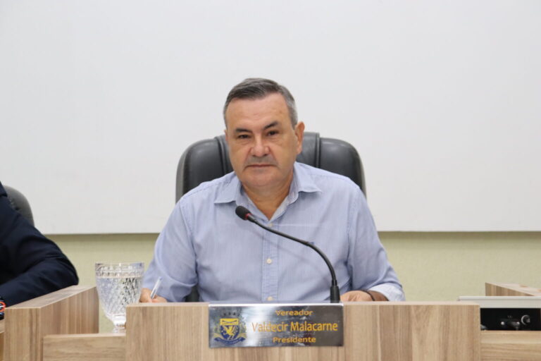 Vereador Valdecir Malacarne propõe retomada do plantio de flores em canteiros e praças de São Gabriel do Oeste