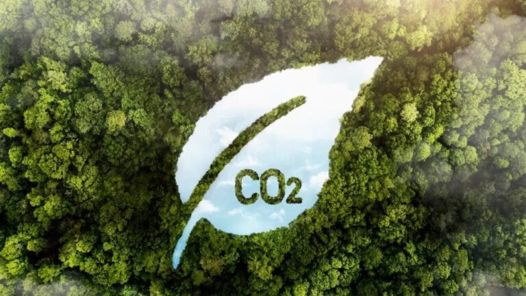 Práticas Agrícolas Sustentáveis Capturam 1,9 Toneladas de CO₂ por Hectare