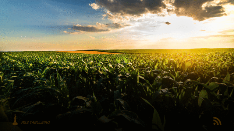 PIB de MS impulsionado pelo agro supera o da China, com destaque São Gabriel do Oeste e mais 3 cidades