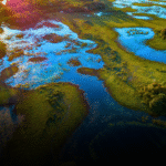 O desmatamento no Planalto da Bacia do Alto Paraguai impacta o regime hídrico do Pantanal