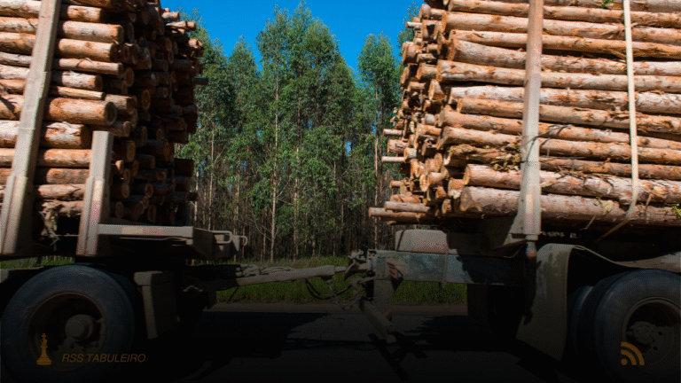 A pavimentação da MS-040 busca melhorar a logística para o transporte de eucalipto