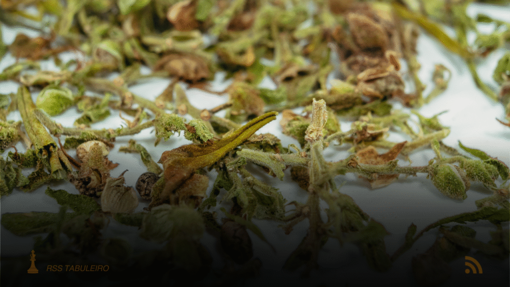 DOF apreende caminhão com maconha escondida em madeira na BR-060 em Paraíso das Águas