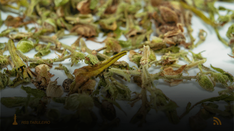 DOF apreende caminhão com maconha escondida em madeira na BR-060 em Paraíso das Águas