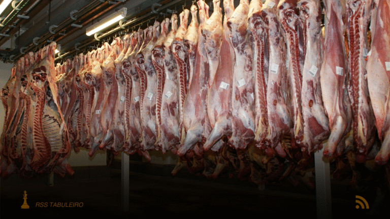 Brasil responde por 53,5% do aumento da produção mundial de carne bovina nos últimos cinco anos