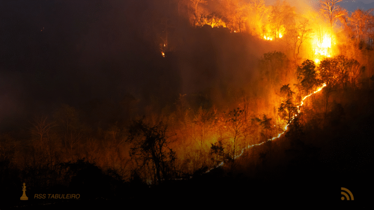 Incêndio de grande proporção atinge Parque Estadual do Pantanal do Rio Negro