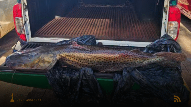 Pescador é multado em R$ 33 mil por pescar pintado de 21 kg na Piracema em MS