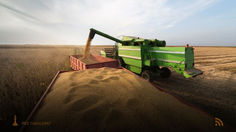 Conab prevê safra de grãos do Brasil 2025/26 em 354,39 milhões de toneladas