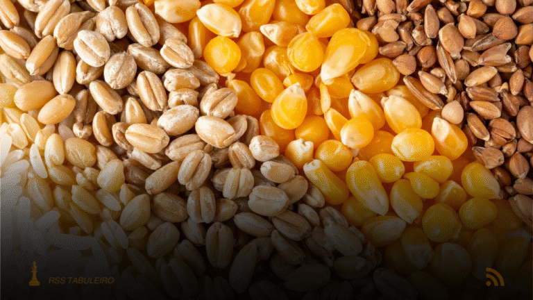 Argentina espera que a safra agrícola de 2024/2025 atinja 146,4 milhões de toneladas