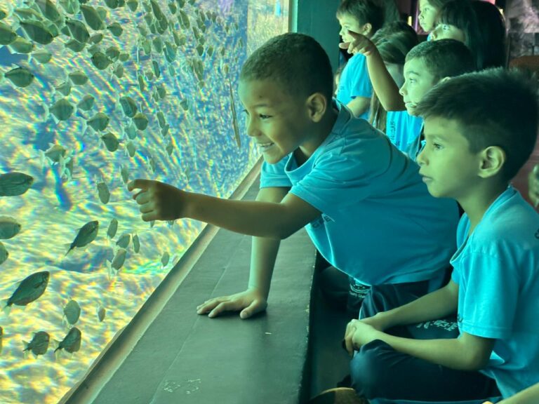 Bioparque Pantanal se consolida no mapa do turismo sustentável mundial