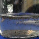 Mato Grosso do Sul já registrou 400 casos prováveis de Dengue em 2026