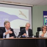 Espécies migratórias: COP15 em MS vai atrair milhares de especialistas de mais de 100 países em março