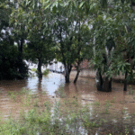 Defesa Civil de Mato Grosso do Sul se mobiliza após municípios serem afetados por chuvas intensas