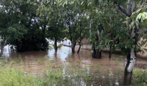 Defesa Civil de Mato Grosso do Sul se mobiliza após municípios serem afetados por chuvas intensas