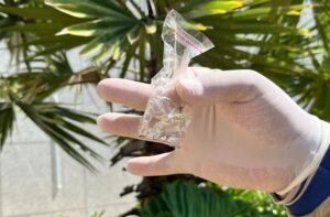 Boletim Epidemiológico: MS registra 107 casos confirmados de dengue