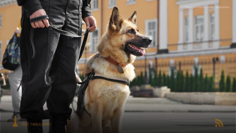 Cães farejadores da PRF localizam 120 kg de cocaína escondidos em carga de minério na BR-262