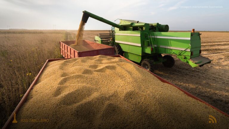 São Gabriel do Oeste registra forte alta no frete com avanço da safra 2025/26