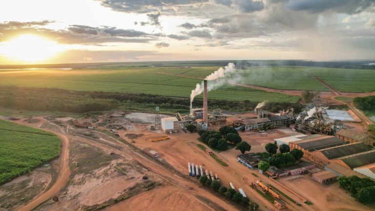 Mato Grosso do Sul consolida nova matriz produtiva e lidera crescimento da indústria de transformação no país