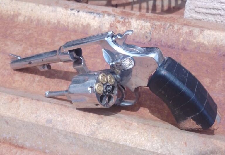 Polícia Civil prende homem por porte ilegal de arma de fogo e violência doméstica em Campo Grande