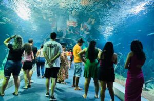 Bioparque Pantanal celebra quatro anos colocando Mato Grosso do Sul em destaque internacional