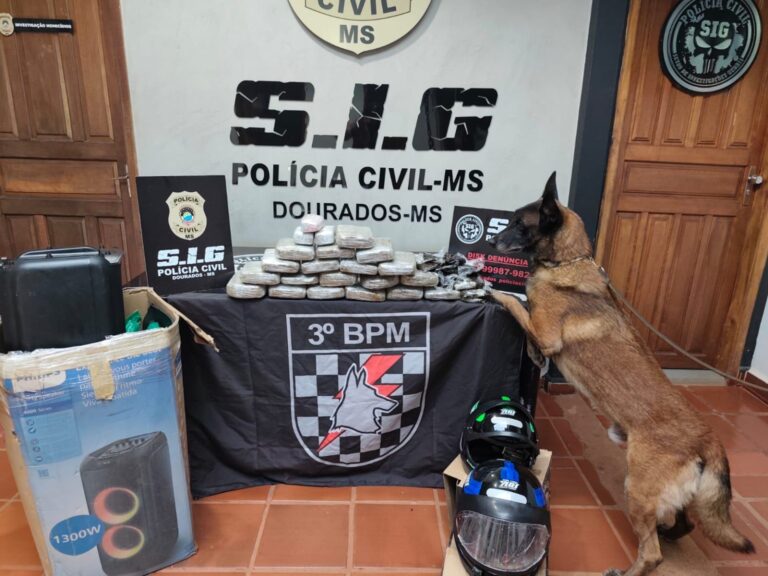 Polícia Civil cumpre mandados em investigação que apura esquema de tráfico interestadual de drogas a partir de Dourados