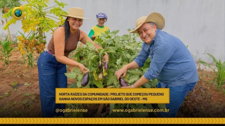 Horta Raízes da Comunidade: projeto que começou pequeno ganha novos espaços em São Gabriel do Oeste – MS